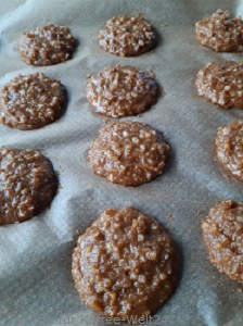 Lebkuchen-auf-dem-Blech