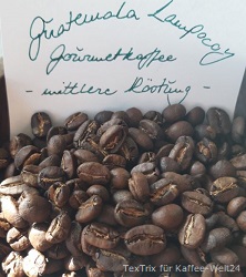 Guatemala-Lampocoy-Gourmet