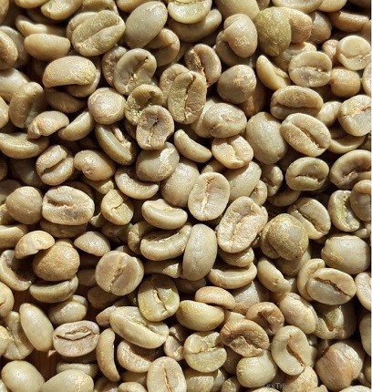 Santa Maria de Costa Rica Tarazzu 4 Kg Rohkaffee