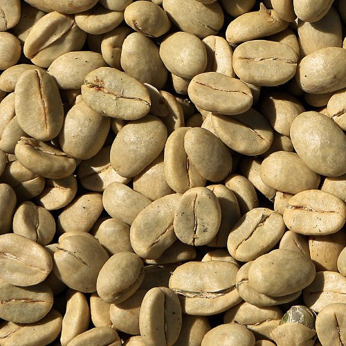 Rohkaffee Nicaragua 1 x 4 Kg