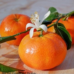 Mandarine Bild-von-CouleurwZwIQcSjkN7Ls