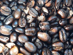 Kaffeebohnen-dunkel-geroestet-aus-Nicaragua Nicaragua-Bohnen-dunkel-geroestet