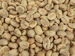 Rohe-Kaffeebohnen-aus-Nicaragua Rohe-Kaffeebohnen-Nicaragua