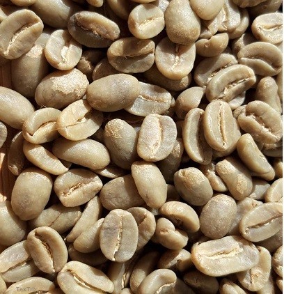 Bio-Arabica aus Papua Neuguinea 4 Kg Rohkaffee