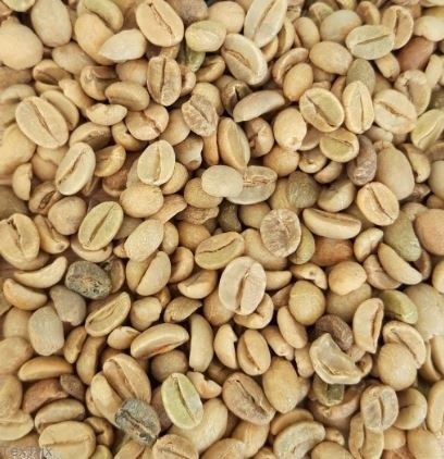 Rohkaffee Uganda Robusta 4 Kg bio und fair