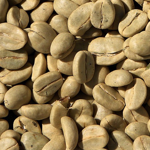 Rohkaffee Uganda 1 x 4 Kg