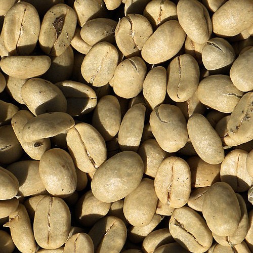 Rohkaffee Guatemala 1 x 4 Kg