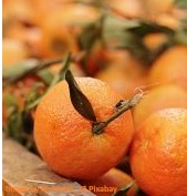 Orangenfrucht fruit-4637398_640